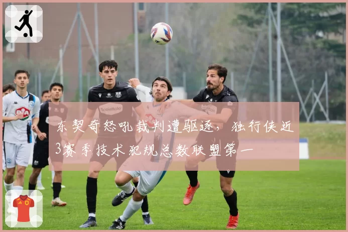 东契奇怒吼裁判遭驱逐,独行侠近3赛季技术犯规总数联盟第一